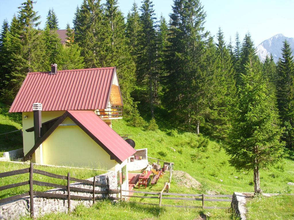 Apartment Vujisic Zabljak  Room photo