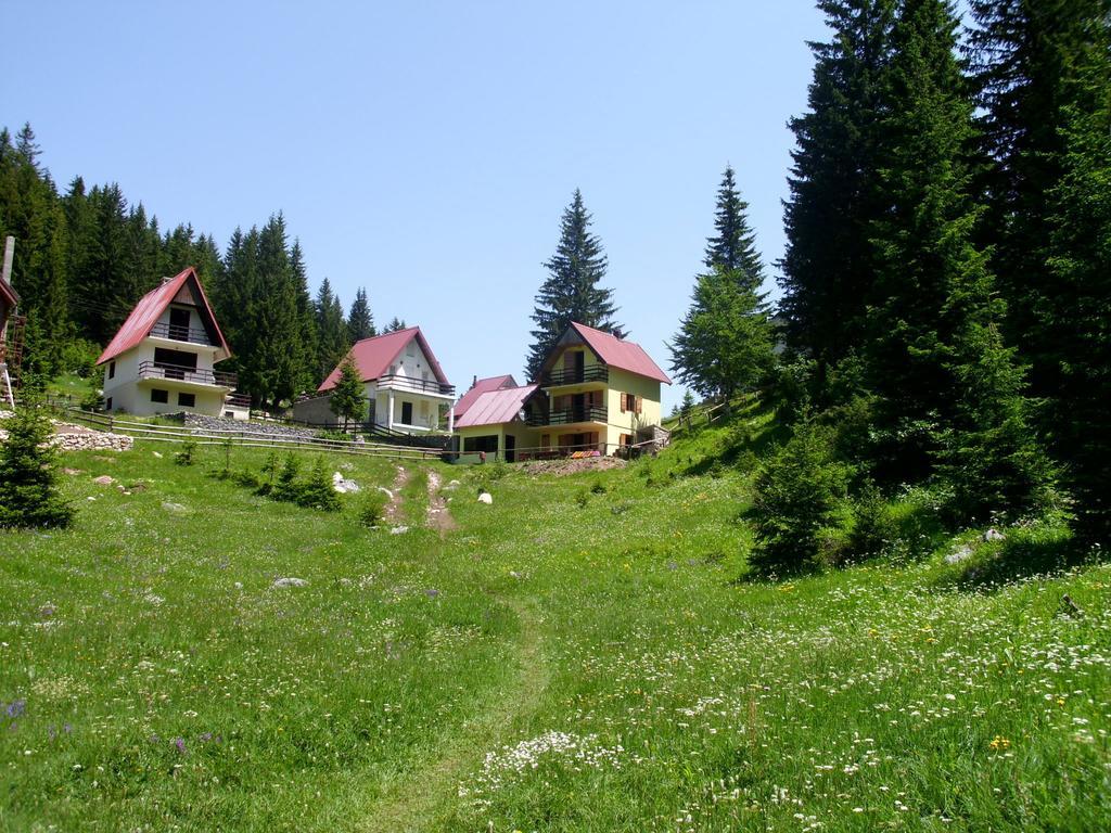 Apartment Vujisic Zabljak  Room photo