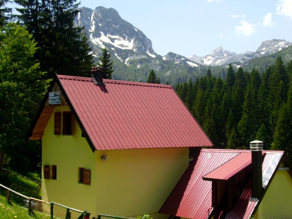 Apartment Vujisic Zabljak  Room photo