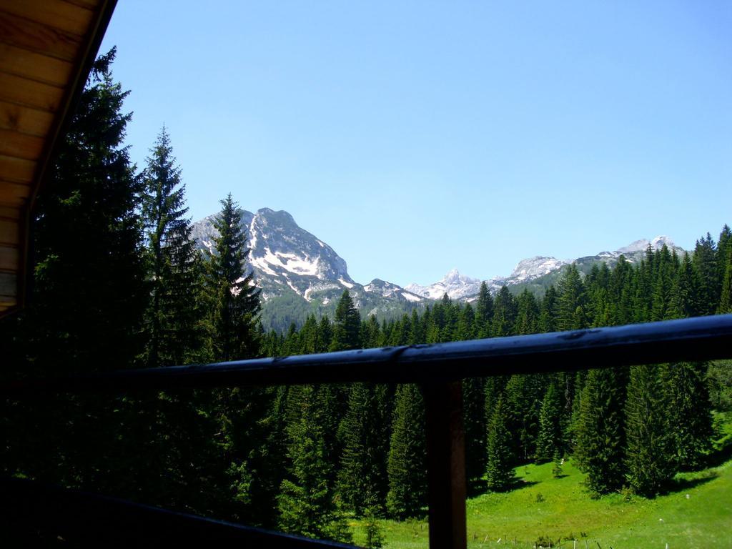 Apartment Vujisic Zabljak  Room photo